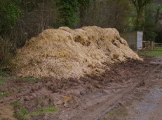 Muck Heap Removal