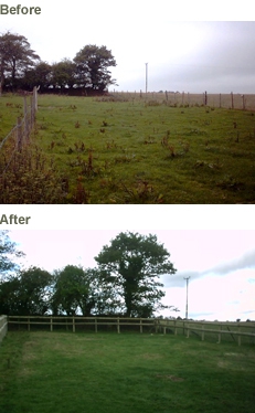 Reinstating Pasture Land