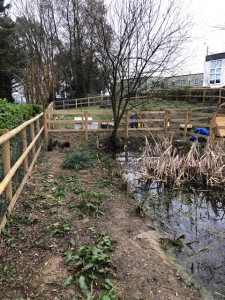 Penrice Wild Fowl Enclosure 1