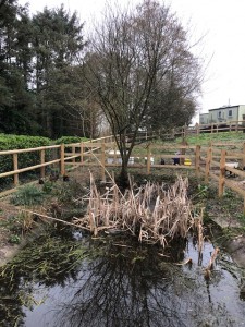 Penrice Wild Fowl Enclosure 2